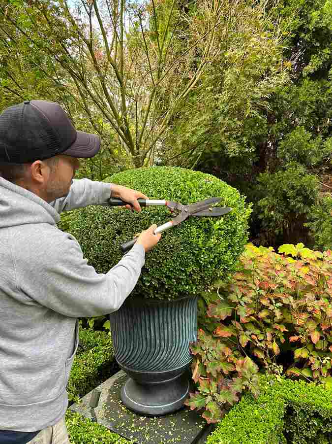 Garden Gardener Your Garden Manager