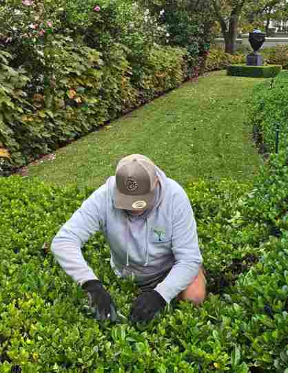 lawn and garden Care lawn and garden Care indoor plant care in Melbourne