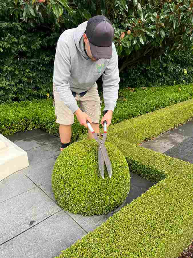 led growing lights for plants